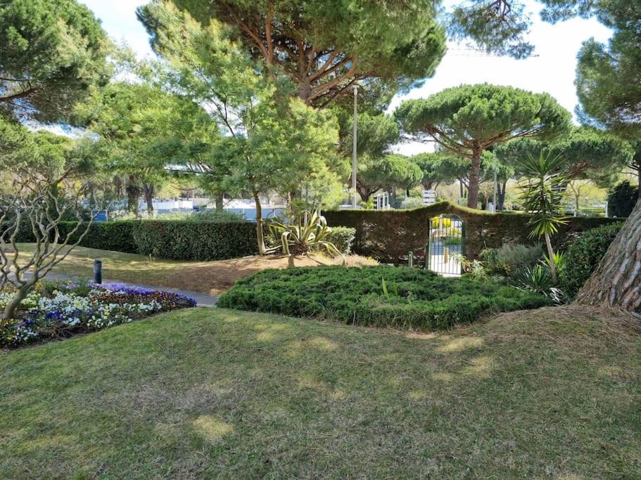 Superbe T2 Tout Confort 3 Etoiles, Entierement Renove Avec Piscine, Parking, Clim, Wifi, Netflix Λα Γκραντ-Μοτ Εξωτερικό φωτογραφία